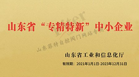 山東2020年度省級(jí)“專(zhuān)精特新”中小企業(yè)名單公示，菲特榜上有名